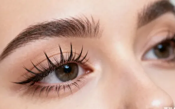 are cluster lashes good